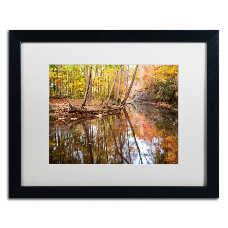 Jason Shaffer Beaver Creek 1 Black Wooden Framed Art 18 x 22 Inches Image 1