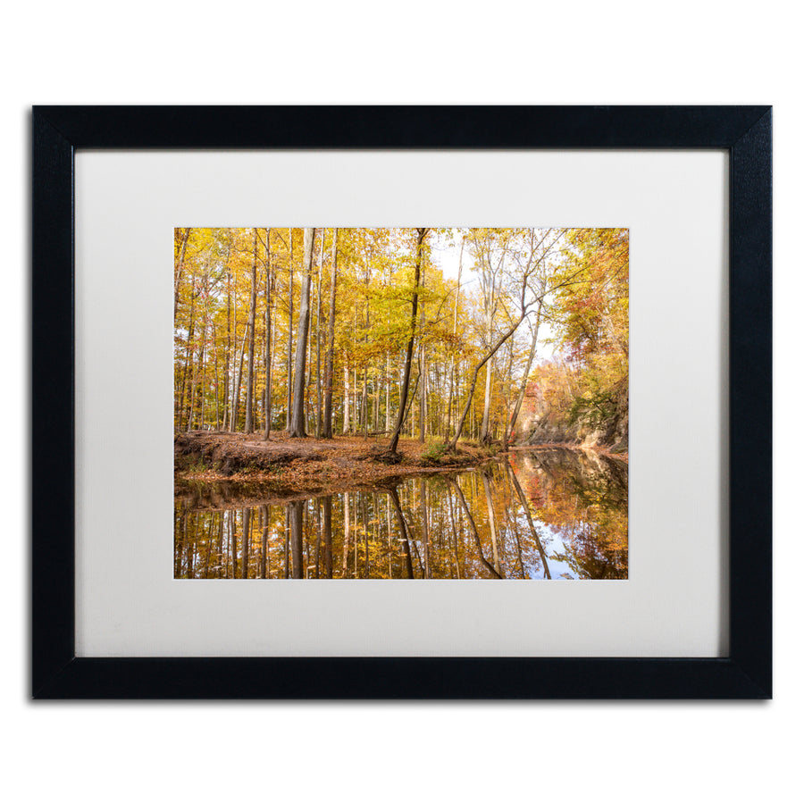 Jason Shaffer Beaver Creek 4 Black Wooden Framed Art 18 x 22 Inches Image 1