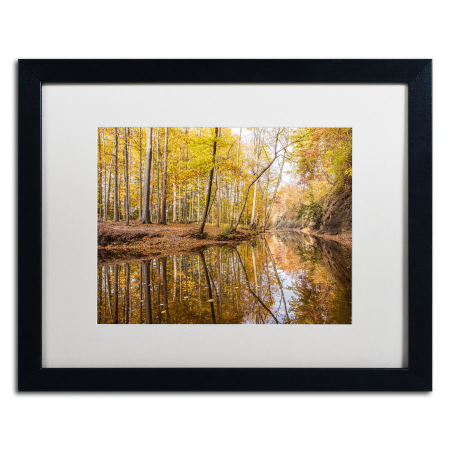 Jason Shaffer Beaver Creek 3 Black Wooden Framed Art 18 x 22 Inches Image 1