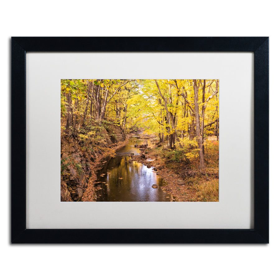 Jason Shaffer Beaver Creek 5 Black Wooden Framed Art 18 x 22 Inches Image 1