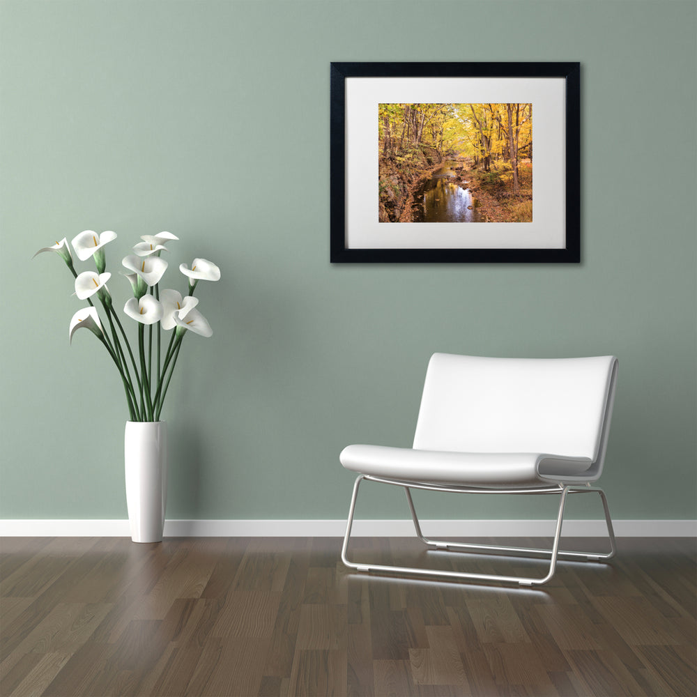Jason Shaffer Beaver Creek 5 Black Wooden Framed Art 18 x 22 Inches Image 2