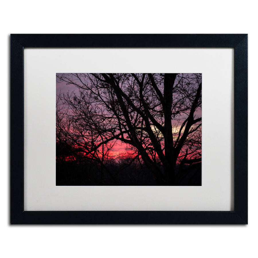 Jason Shaffer Pink Sunset Black Wooden Framed Art 18 x 22 Inches Image 1