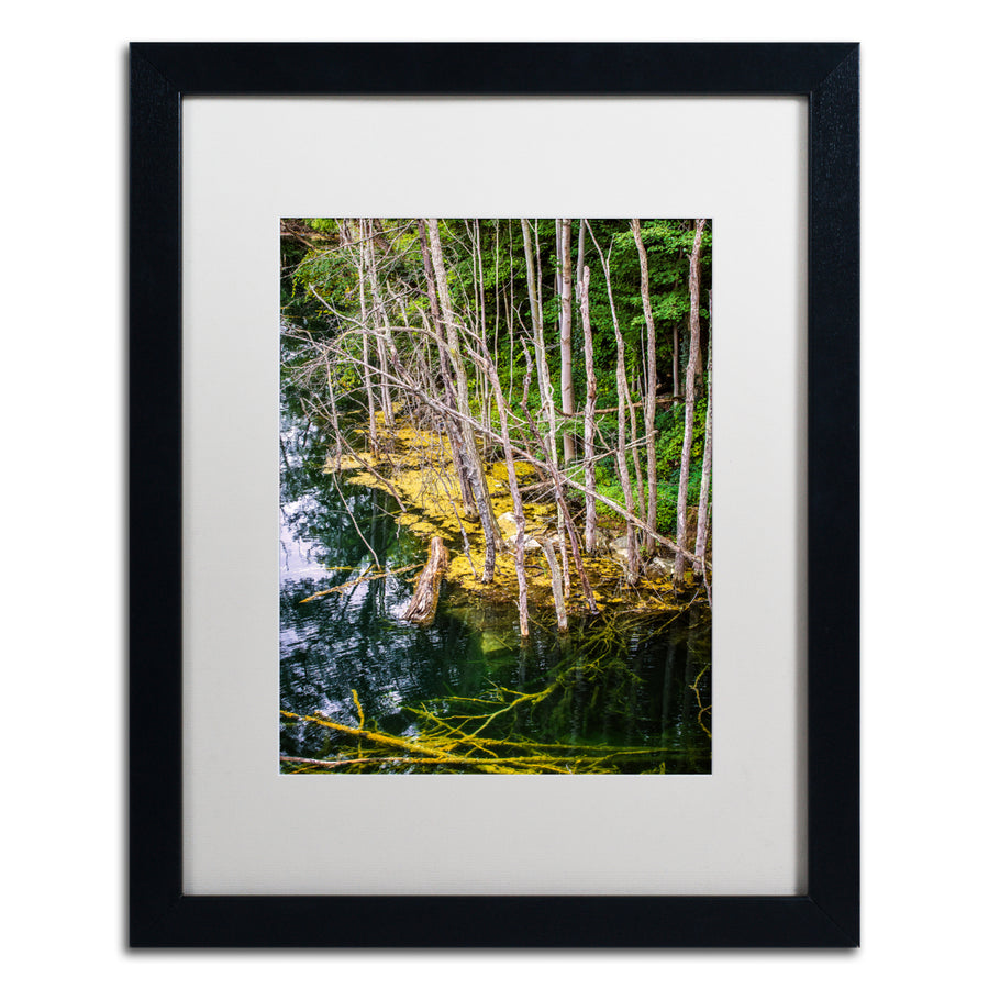 Jason Shaffer Quarries Black Wooden Framed Art 18 x 22 Inches Image 1