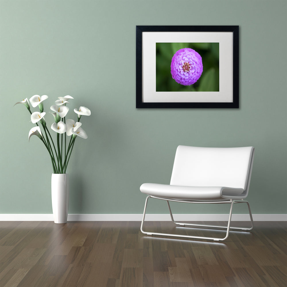 Jason Shaffer Purple Flower Black Wooden Framed Art 18 x 22 Inches Image 2