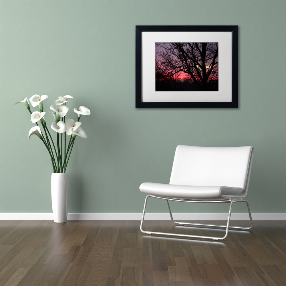 Jason Shaffer Pink Sunset Black Wooden Framed Art 18 x 22 Inches Image 2