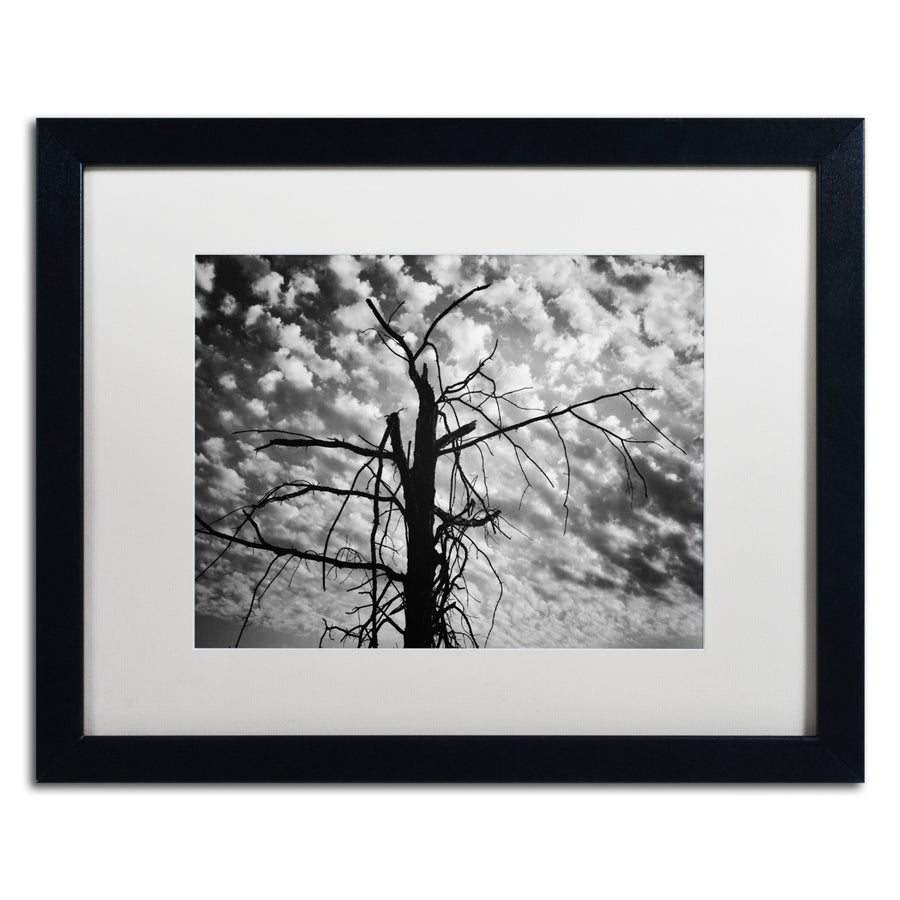 Jason Shaffer Sandy Ridge 2 Black Wooden Framed Art 18 x 22 Inches Image 1