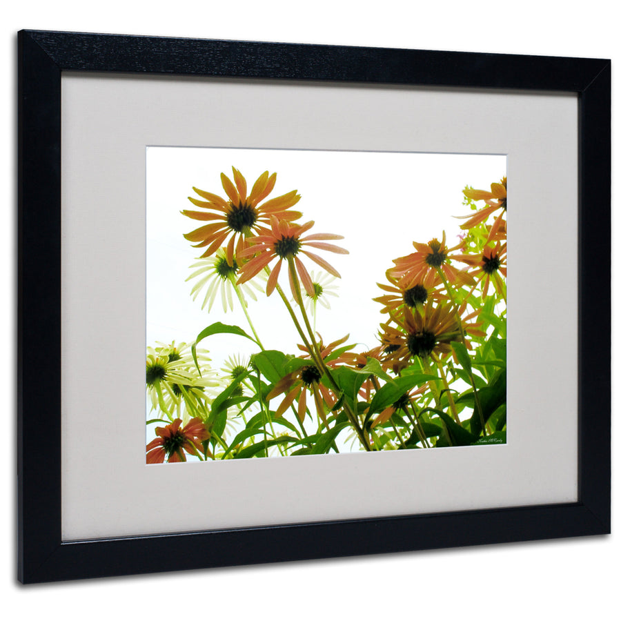 Kathie McCurdy Orange Coneflowers Black Wooden Framed Art 18 x 22 Inches Image 1