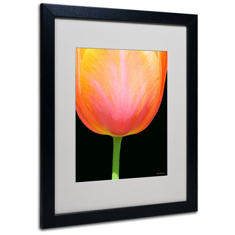 Kathie McCurdy Orange Tulip Black Wooden Framed Art 18 x 22 Inches Image 1