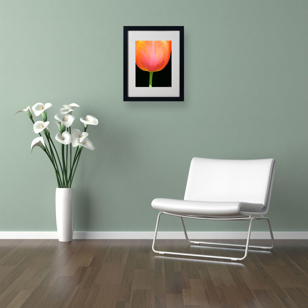 Kathie McCurdy Orange Tulip Black Wooden Framed Art 18 x 22 Inches Image 2