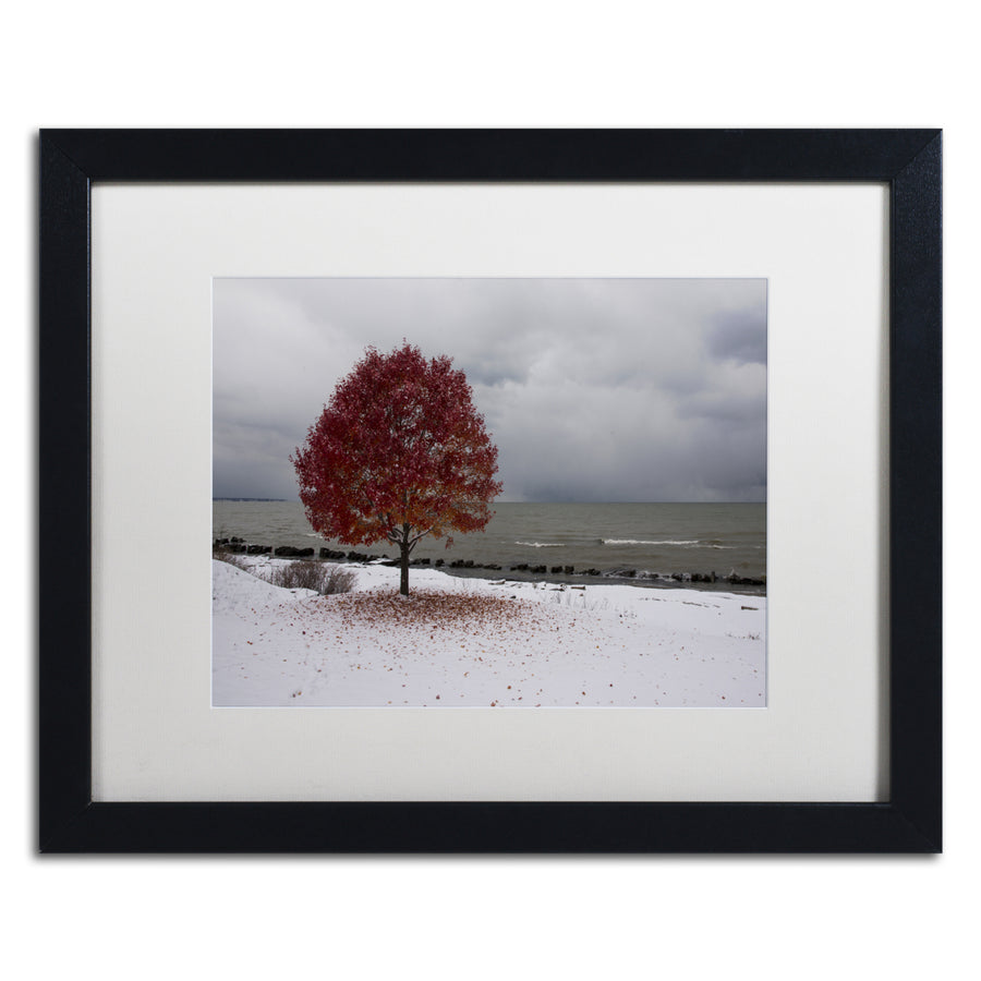 Kurt Shaffer Autumn Contrast on the Lake Black Wooden Framed Art 18 x 22 Inches Image 1