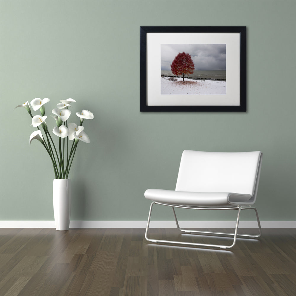 Kurt Shaffer Autumn Contrast on the Lake Black Wooden Framed Art 18 x 22 Inches Image 2
