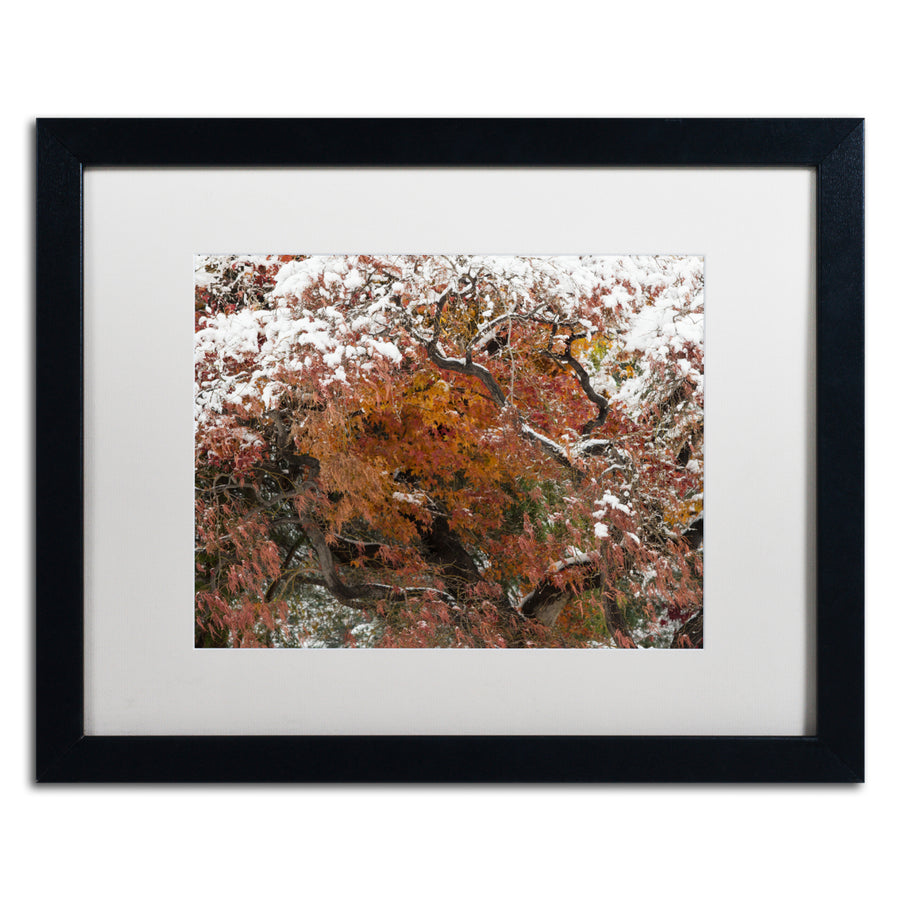 Kurt Shaffer Early Snow Fall Black Wooden Framed Art 18 x 22 Inches Image 1