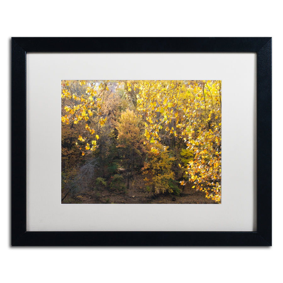 Kurt Shaffer Golden Autumn 2 Black Wooden Framed Art 18 x 22 Inches Image 1
