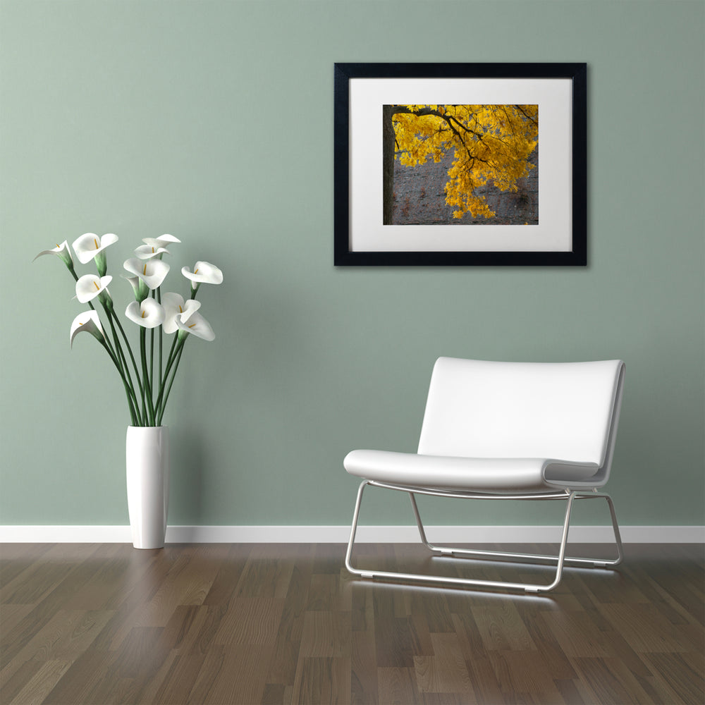 Kurt Shaffer Golden Autumn Color Black Wooden Framed Art 18 x 22 Inches Image 2