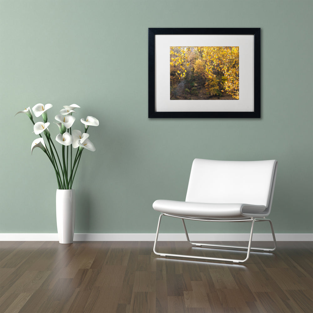 Kurt Shaffer Golden Autumn 2 Black Wooden Framed Art 18 x 22 Inches Image 2