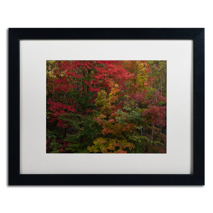 Kurt Shaffer Why I Love Autumn Black Wooden Framed Art 18 x 22 Inches Image 1
