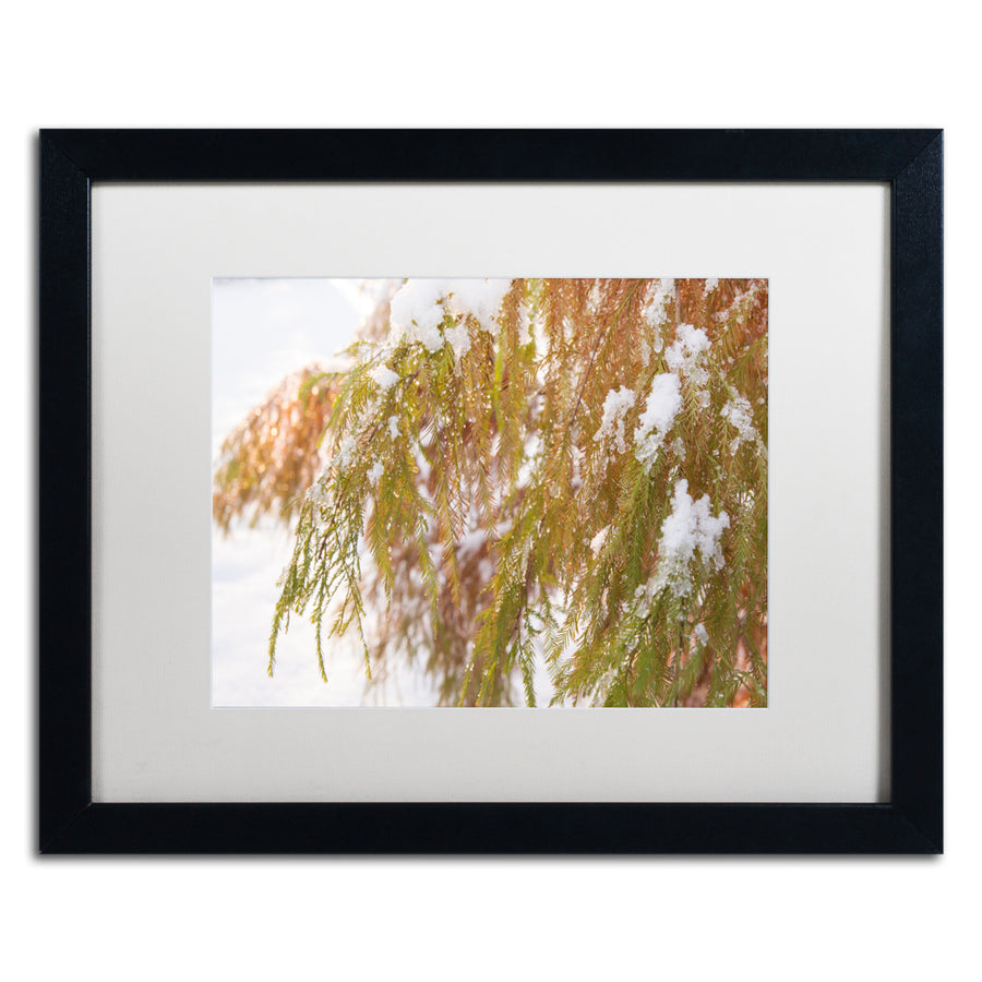 Kurt Shaffer Winter on Redwood Black Wooden Framed Art 18 x 22 Inches Image 1
