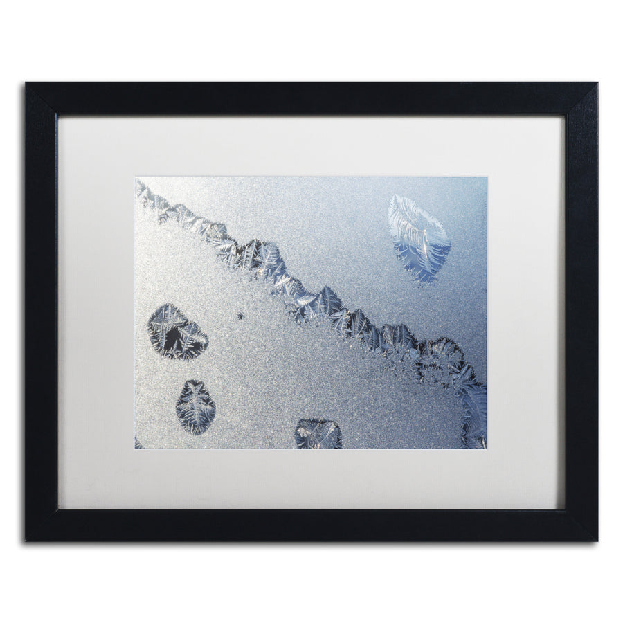 Kurt Shaffer Amazing Frost on a Window Black Wooden Framed Art 18 x 22 Inches Image 1