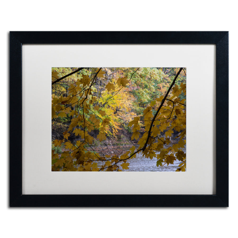 Kurt Shaffer Brilliant Ohio Autumn Black Wooden Framed Art 18 x 22 Inches Image 1