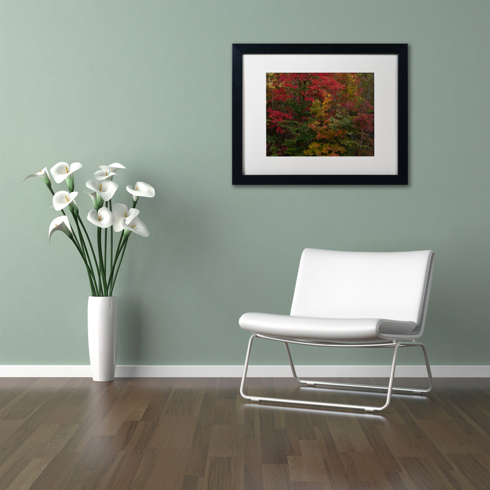 Kurt Shaffer Why I Love Autumn Black Wooden Framed Art 18 x 22 Inches Image 2
