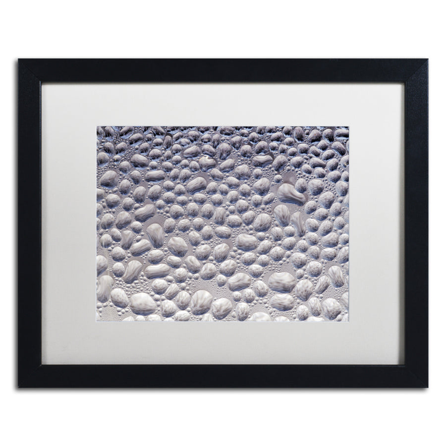Kurt Shaffer Condensation on a Cold Window 2 Black Wooden Framed Art 18 x 22 Inches Image 1