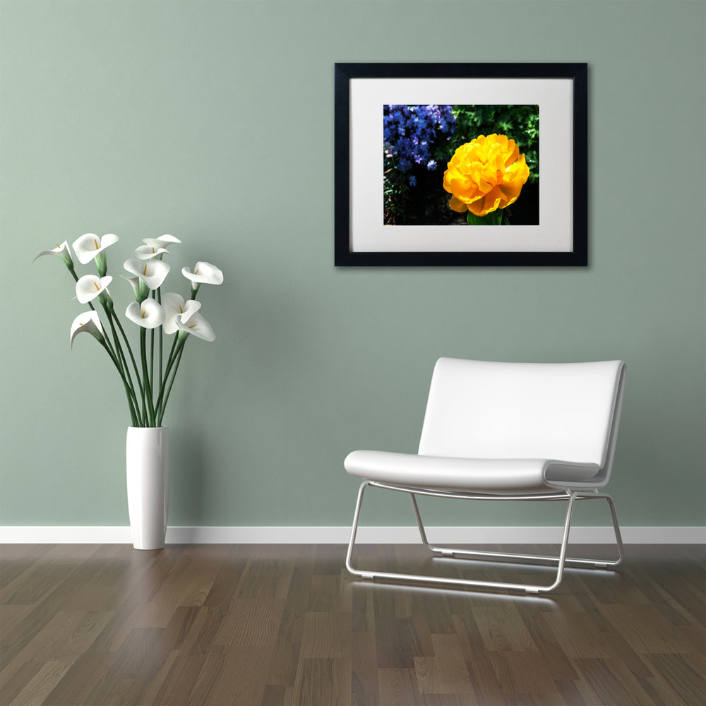 Kurt Shaffer Yellow Double Headed Tulip Black Wooden Framed Art 18 x 22 Inches Image 2