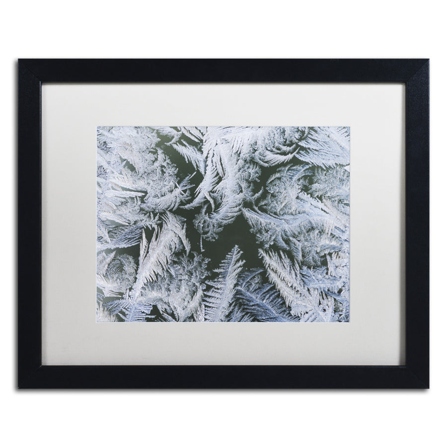 Kurt Shaffer Frost at Zero Degrees Black Wooden Framed Art 18 x 22 Inches Image 1