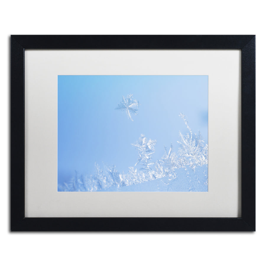 Kurt Shaffer Window Frost Black Wooden Framed Art 18 x 22 Inches Image 1