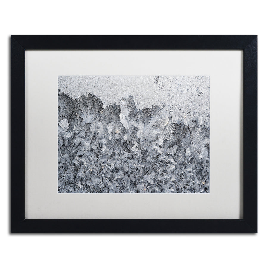 Kurt Shaffer Frost Mosaic 2 Black Wooden Framed Art 18 x 22 Inches Image 1