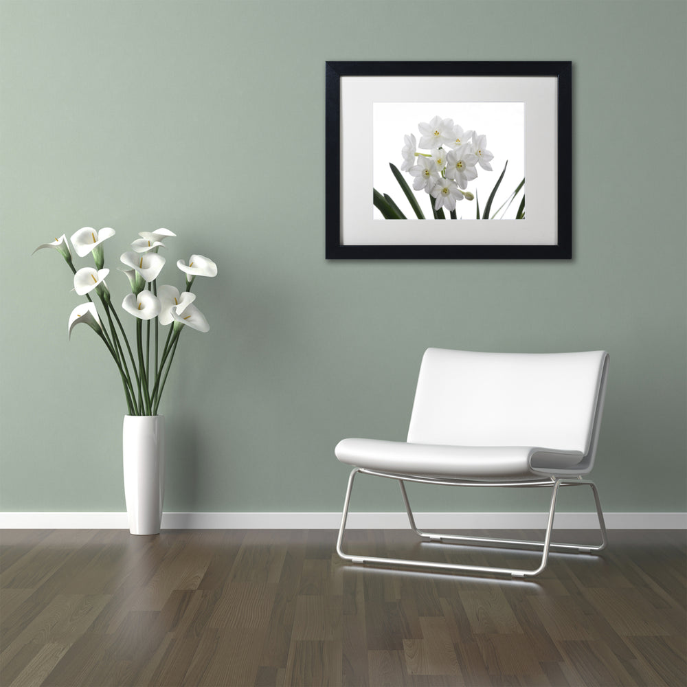 Kurt Shaffer Paper White Bouquet Black Wooden Framed Art 18 x 22 Inches Image 2