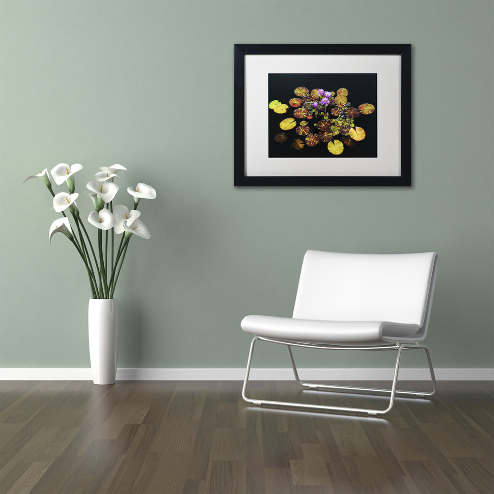 Kurt Shaffer Exotic Lilies Black Wooden Framed Art 18 x 22 Inches Image 2
