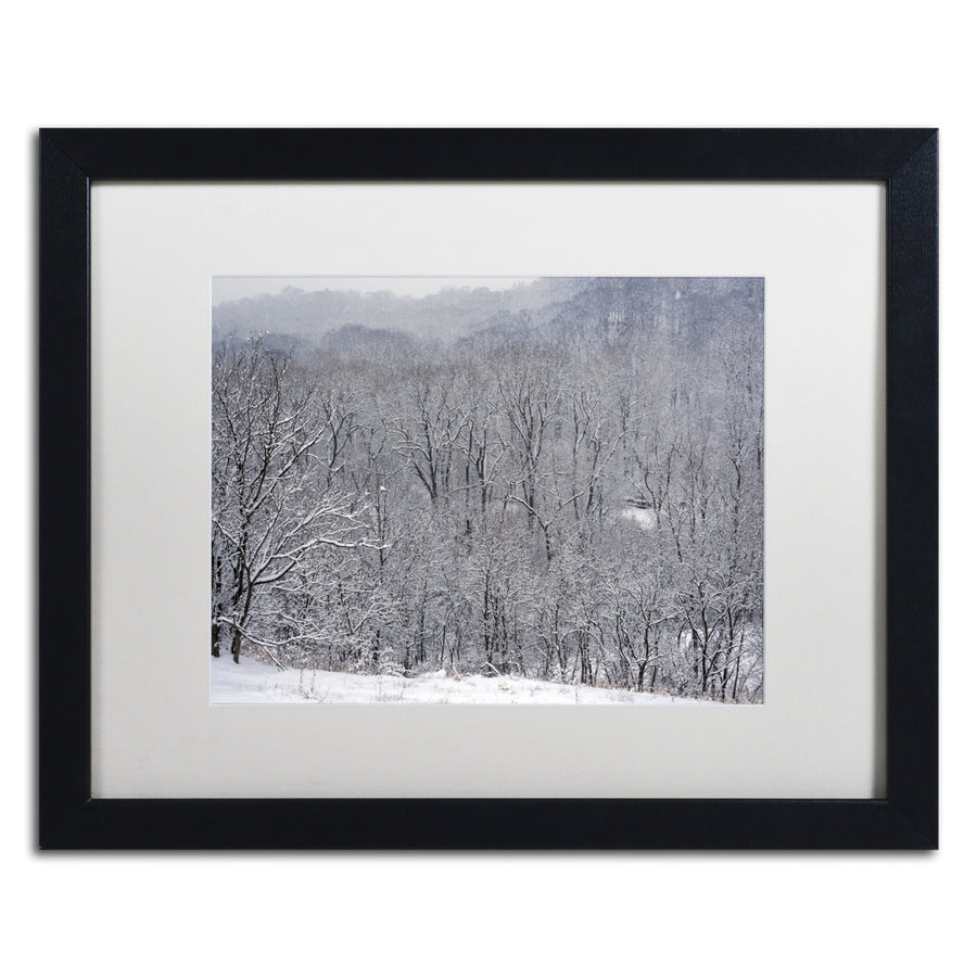 Kurt Shaffer Quiet Heavy Snowfall Black Wooden Framed Art 18 x 22 Inches Image 1