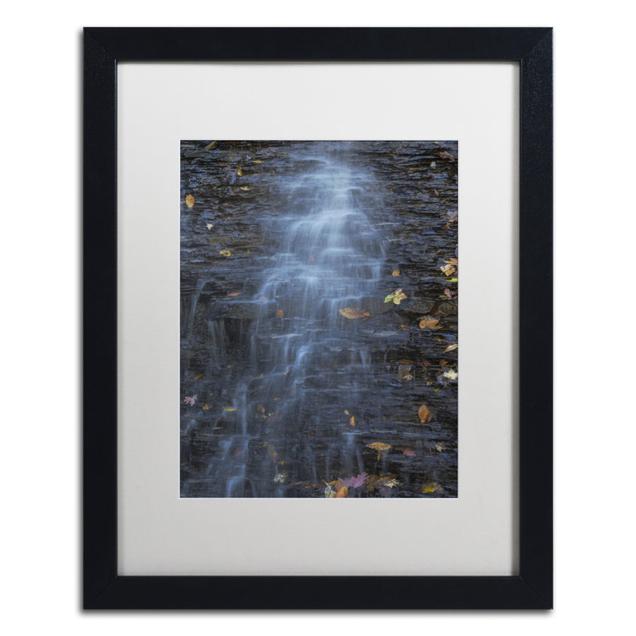 Kurt Shaffer Blue Hen Falls Abstract Black Wooden Framed Art 18 x 22 Inches Image 1