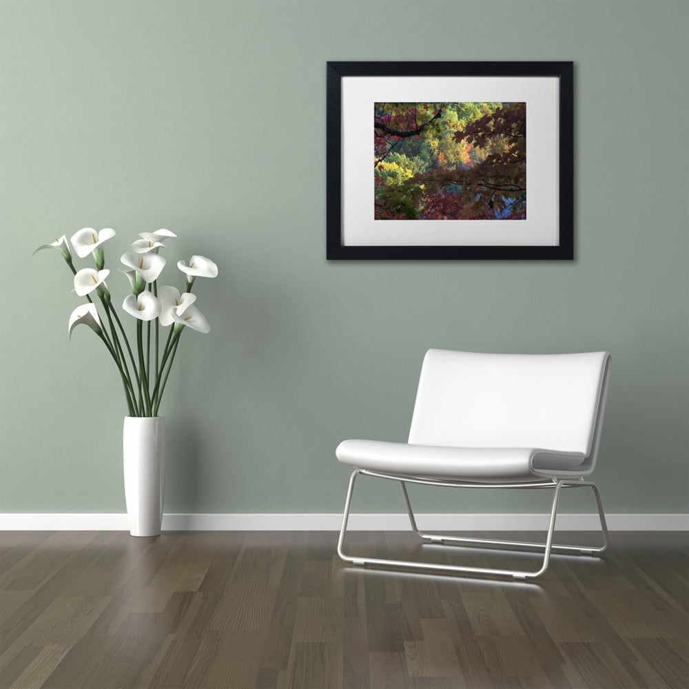 Kurt Shaffer Multi Colored Maples Black Wooden Framed Art 18 x 22 Inches Image 2