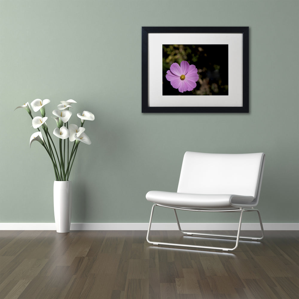 Kurt Shaffer Pink Cosmos Flower Black Wooden Framed Art 18 x 22 Inches Image 2