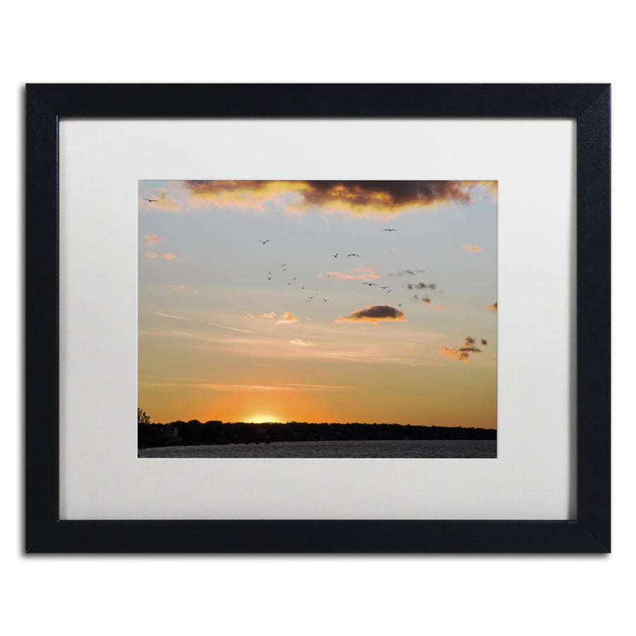 Kurt Shaffer Seagull Sunset Black Wooden Framed Art 18 x 22 Inches Image 1