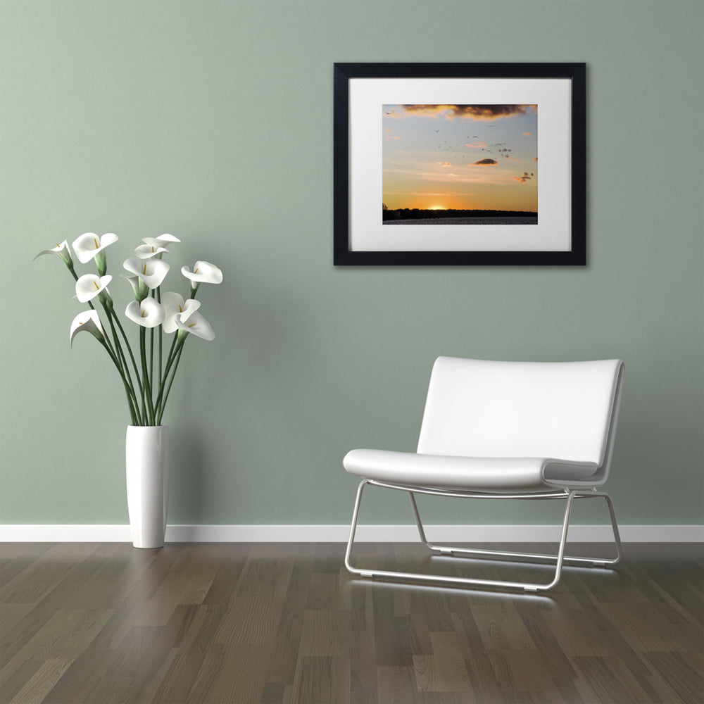 Kurt Shaffer Seagull Sunset Black Wooden Framed Art 18 x 22 Inches Image 2