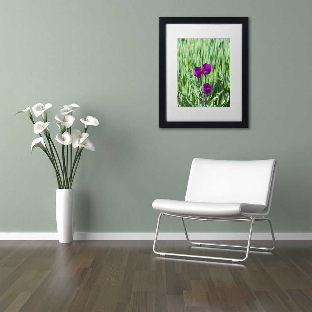 Kurt Shaffer Healing Tulips Black Wooden Framed Art 18 x 22 Inches Image 2