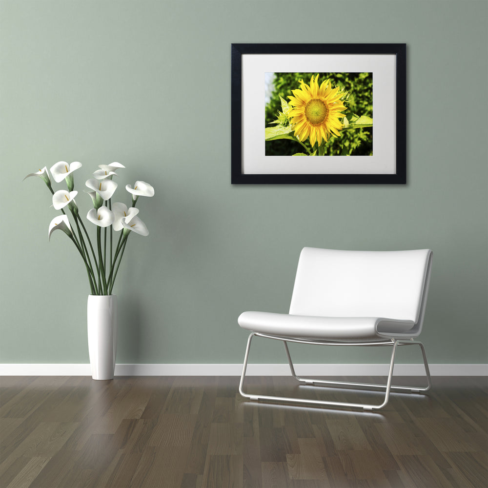 Kurt Shaffer Just a Sunflower Black Wooden Framed Art 18 x 22 Inches Image 2