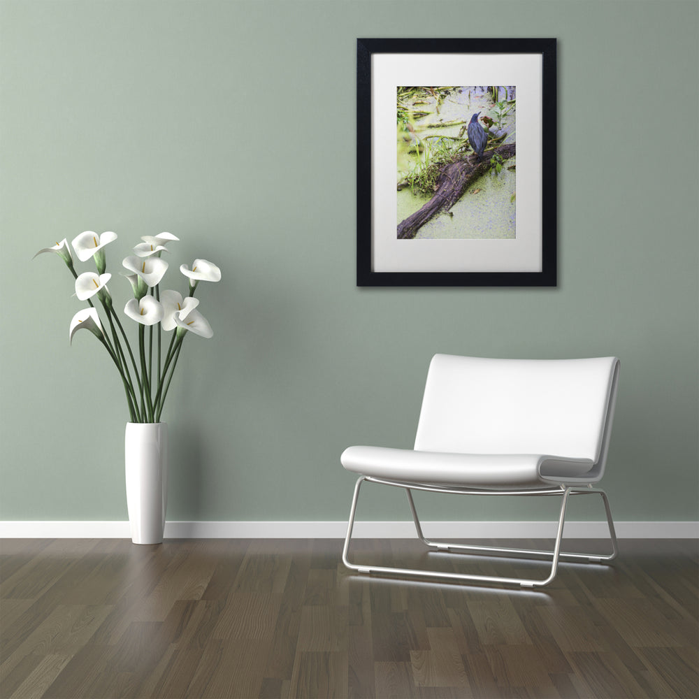 Kurt Shaffer Green Heron II Black Wooden Framed Art 18 x 22 Inches Image 2