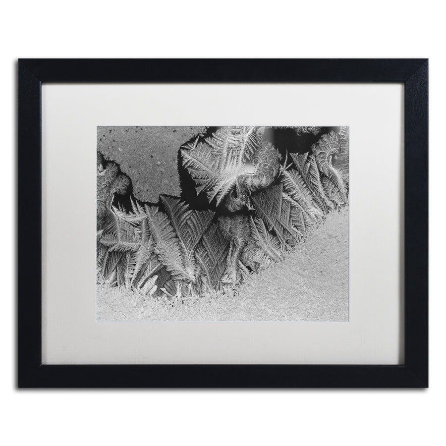 Kurt Shaffer Window Frost Pattern 1 Black Wooden Framed Art 18 x 22 Inches Image 1