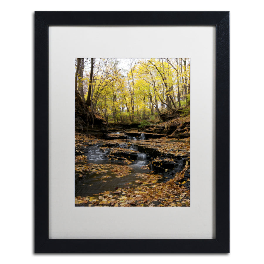 Kurt Shaffer Lakeview Autumn Falls 3 Black Wooden Framed Art 18 x 22 Inches Image 1