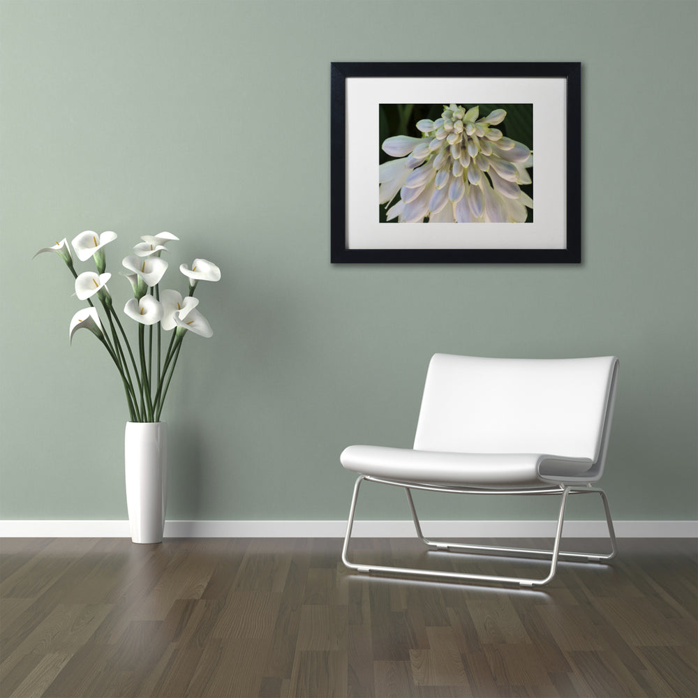 Kurt Shaffer Hosta Flower Abstract Black Wooden Framed Art 18 x 22 Inches Image 2