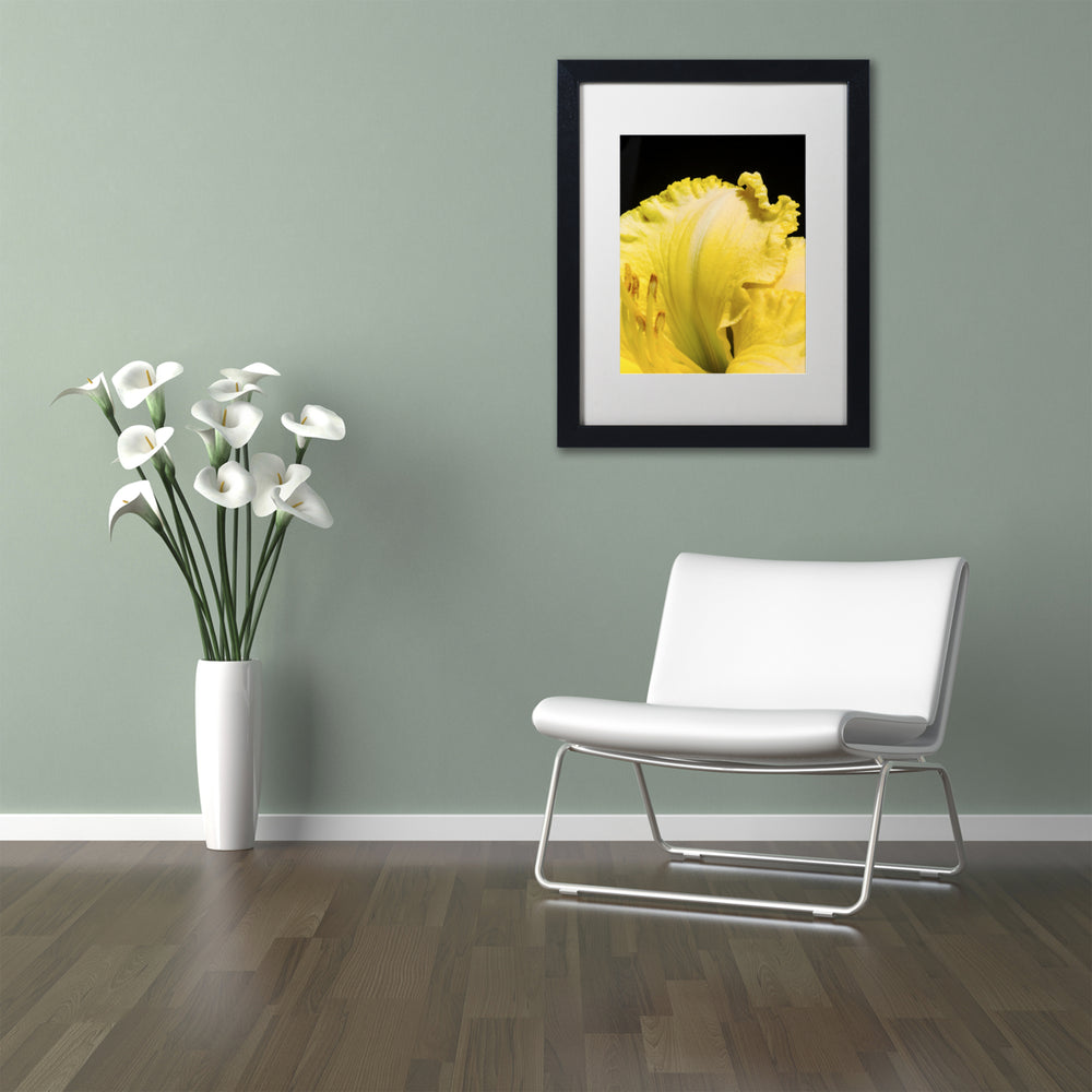 Kurt Shaffer Day Lily Abstract Black Wooden Framed Art 18 x 22 Inches Image 2