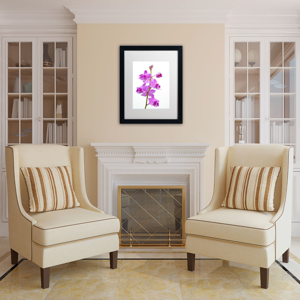 Kurt Shaffer Purple Orchids Black Wooden Framed Art 18 x 22 Inches Image 2