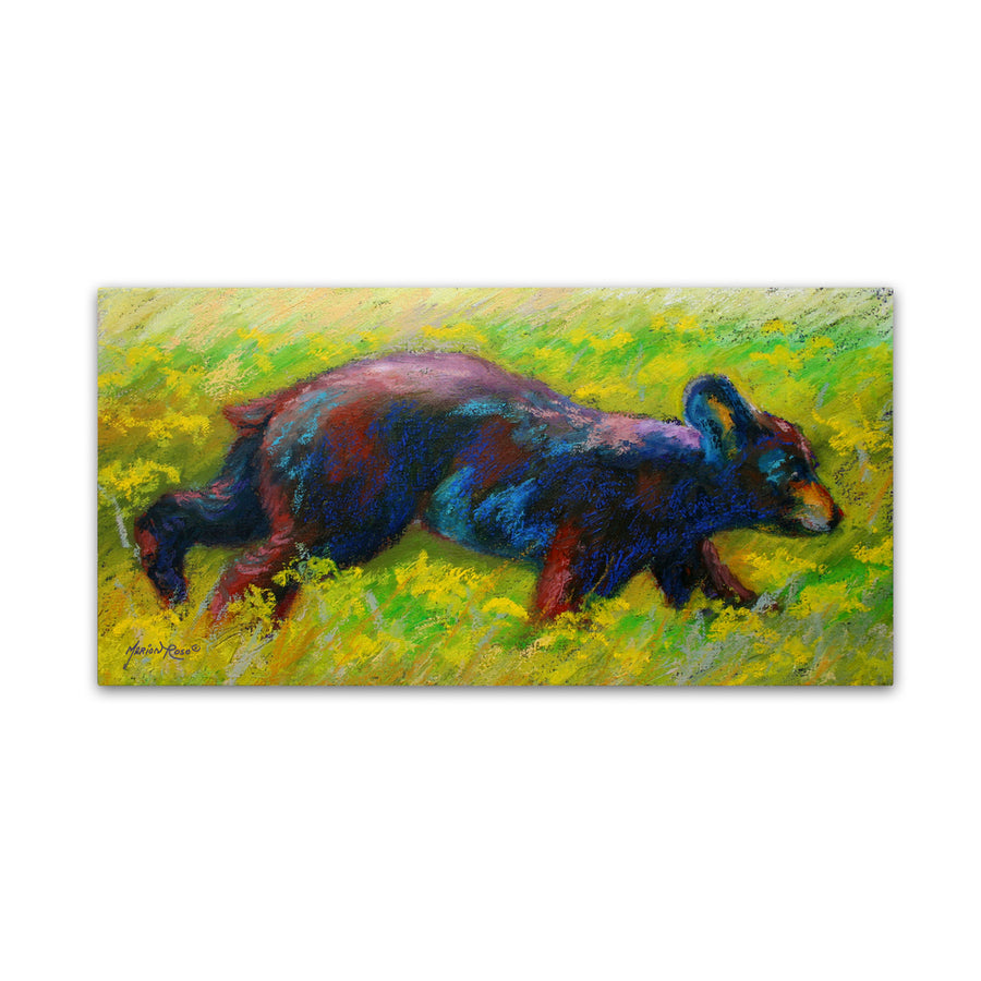 Marion Rose Run Free Cub Ready to Hang Canvas Art 10 x 19 Inches Made in USA Image 1