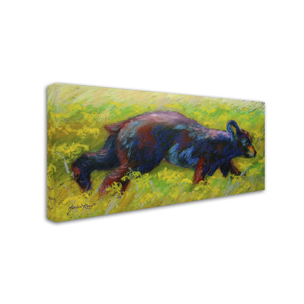 Marion Rose Run Free Cub Ready to Hang Canvas Art 10 x 19 Inches Made in USA Image 2