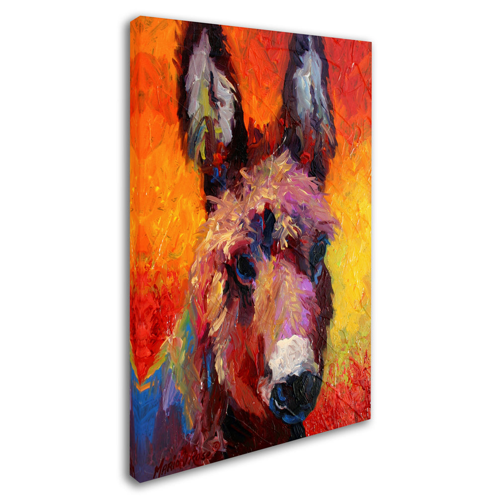 Marion Rose Donkey Portrait II Ready to Hang Canvas Art 12 x 19 Inches Made in USA Image 2