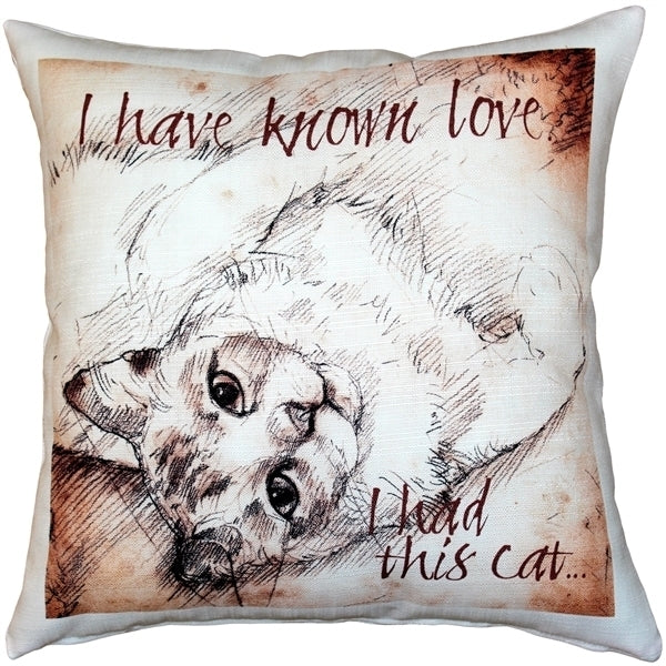 Pillow Decor - I Have Known Love Cat Pillow 17x17 Image 1