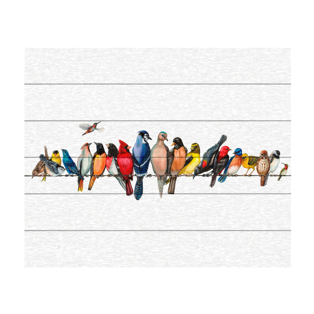Wooden Slat Art 18 x 22 Inches Titled Large Bird Menagerie Ii Ready to Hang  Picture Image 2